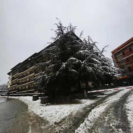 Appartamento The Old *