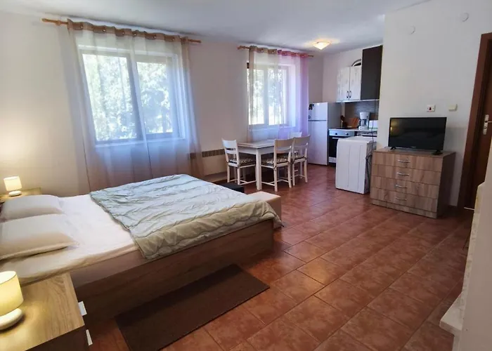 The Old 公寓 班斯科